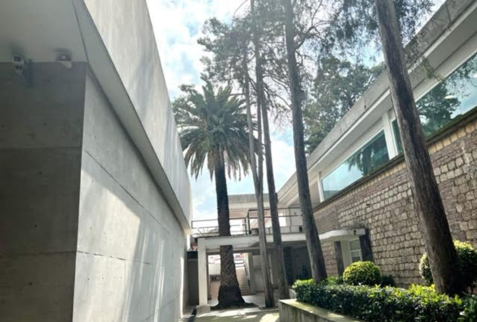 Universidad Pontificia de México