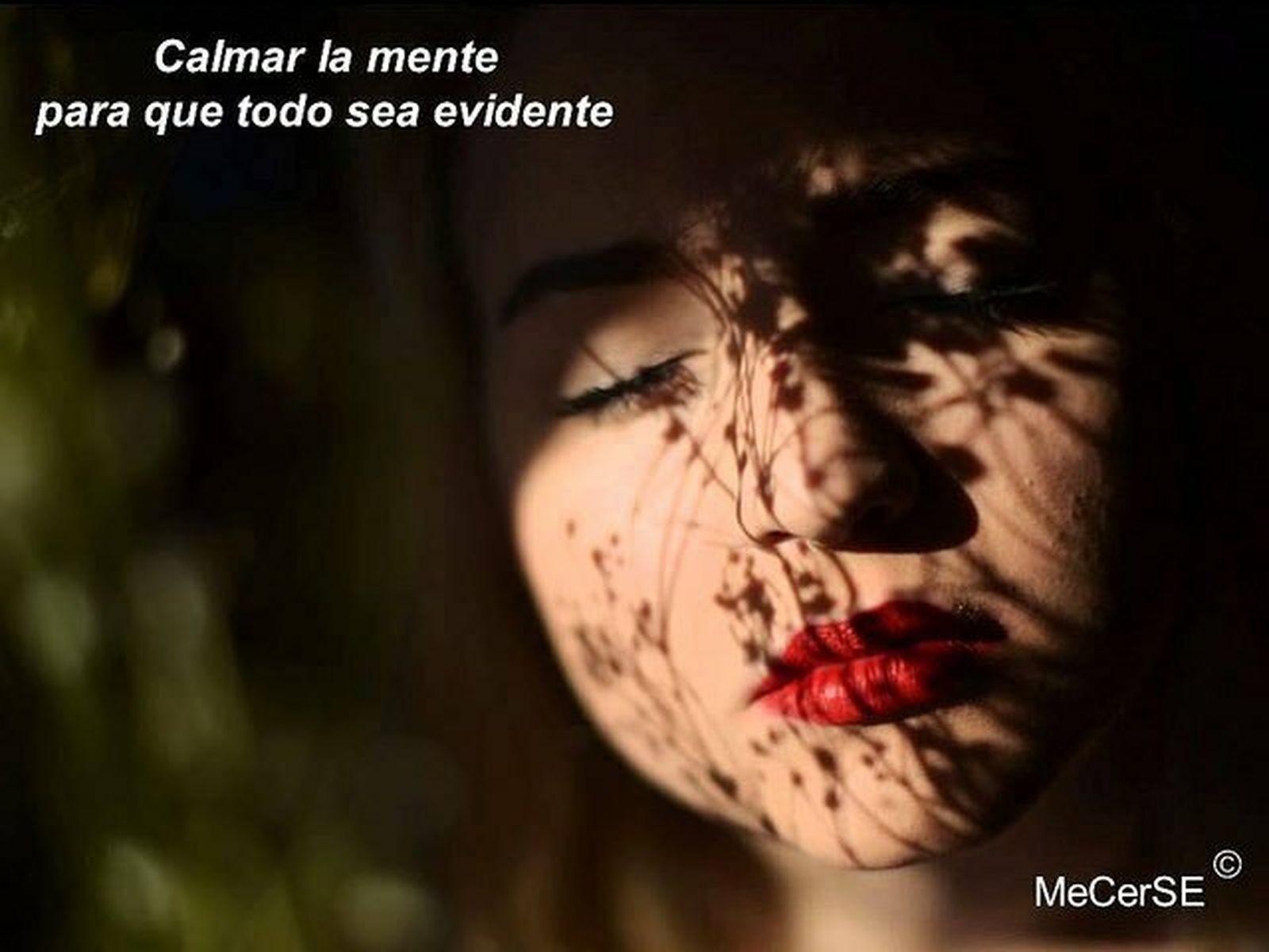 Instante del vídeo Mecerse