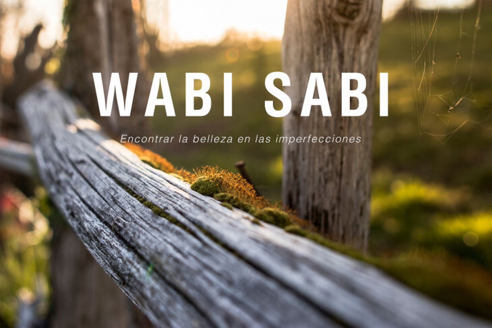 wabi sabi