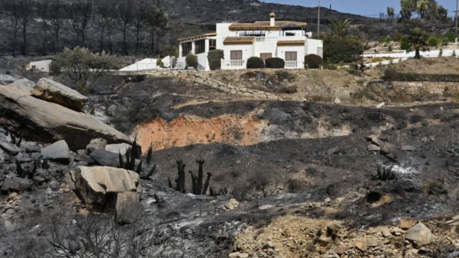 Restos de vehiculos calcinados en el municipio almeriense de Béda.