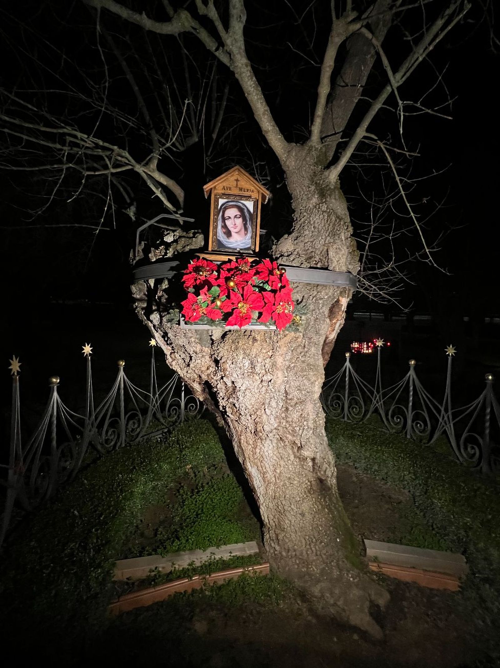 Vigilia de Fin de Año