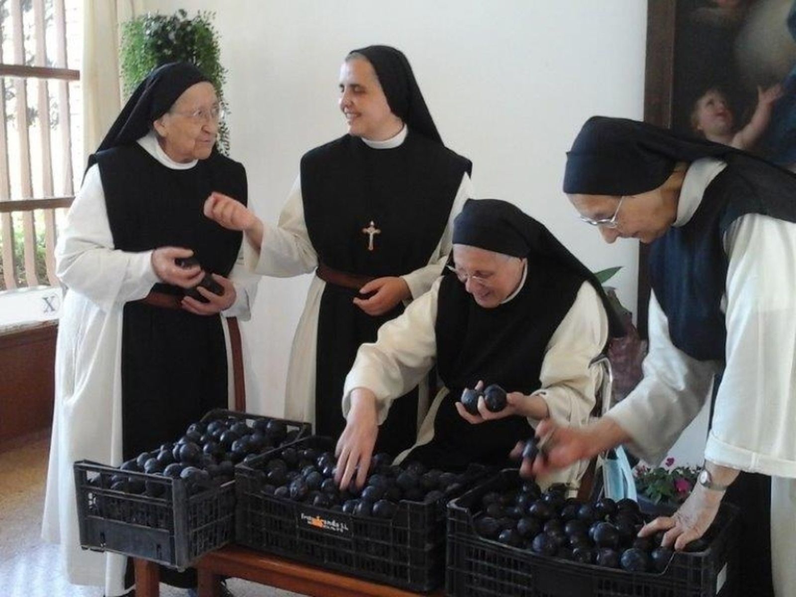 Cistercienses de Gratia Dei