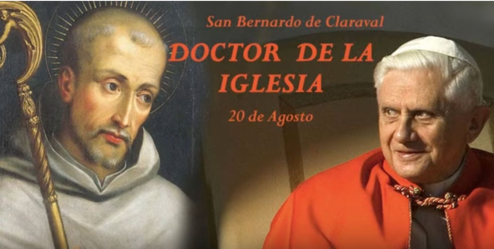 Benedicto XVI y San Bernardo
