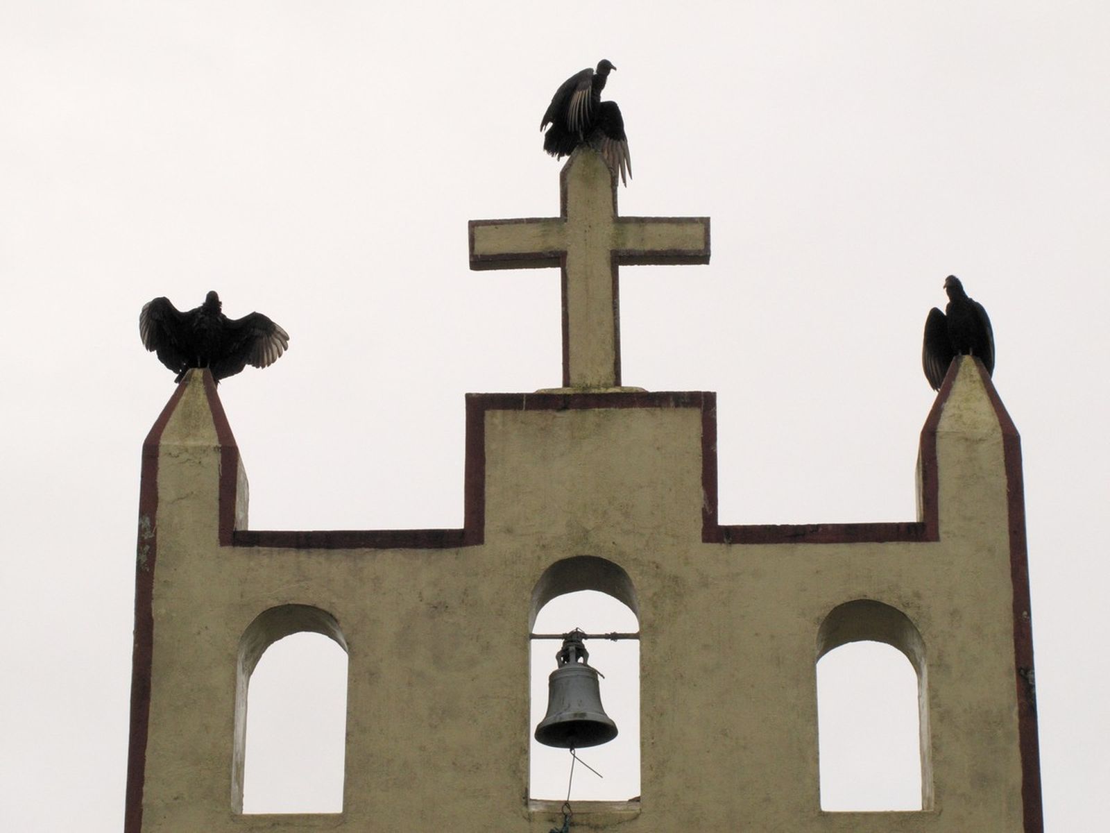 6819ccdb-141d-4dec-b4c0-5792fce3f6b4