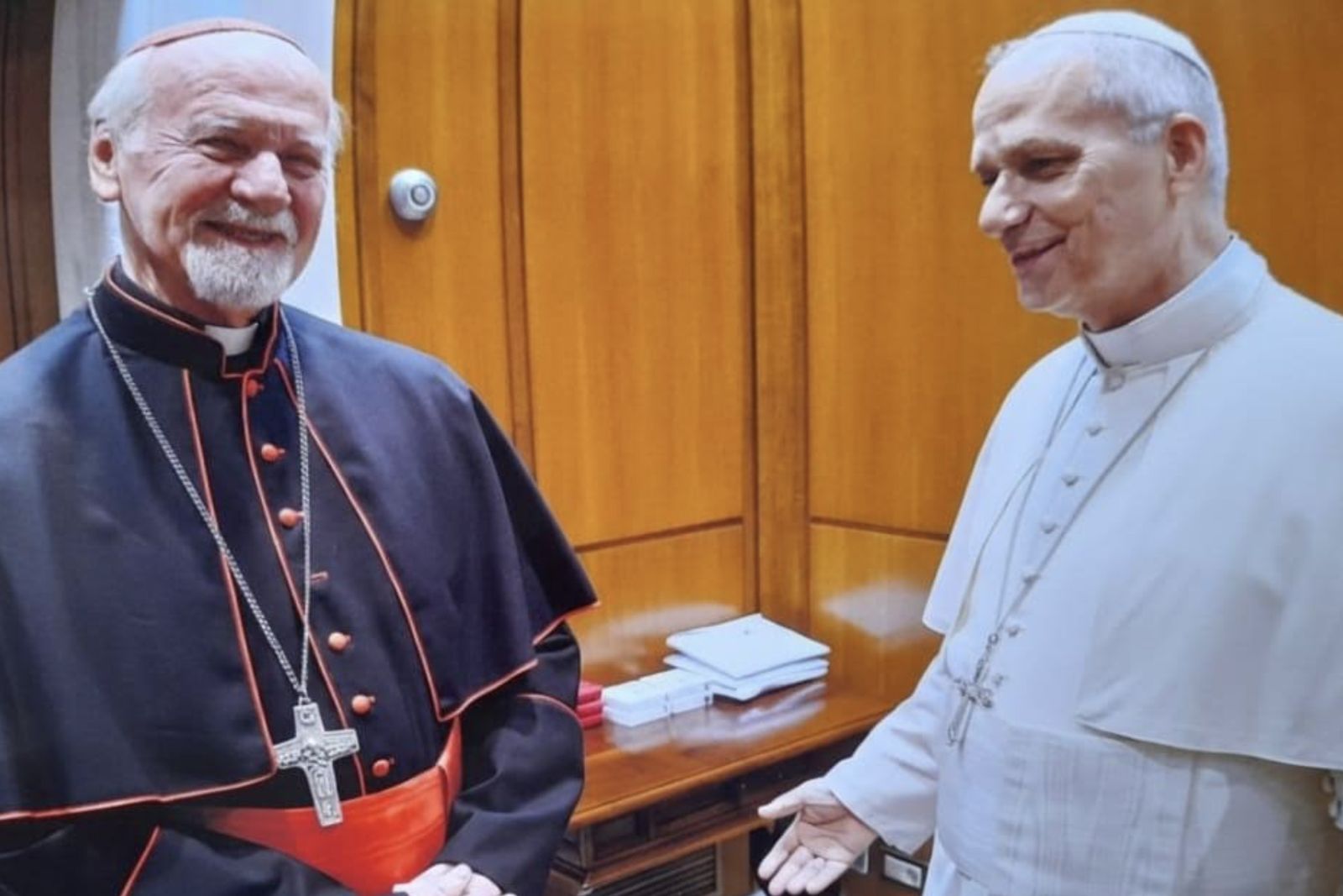 El Papa y el cardenal Bokalic