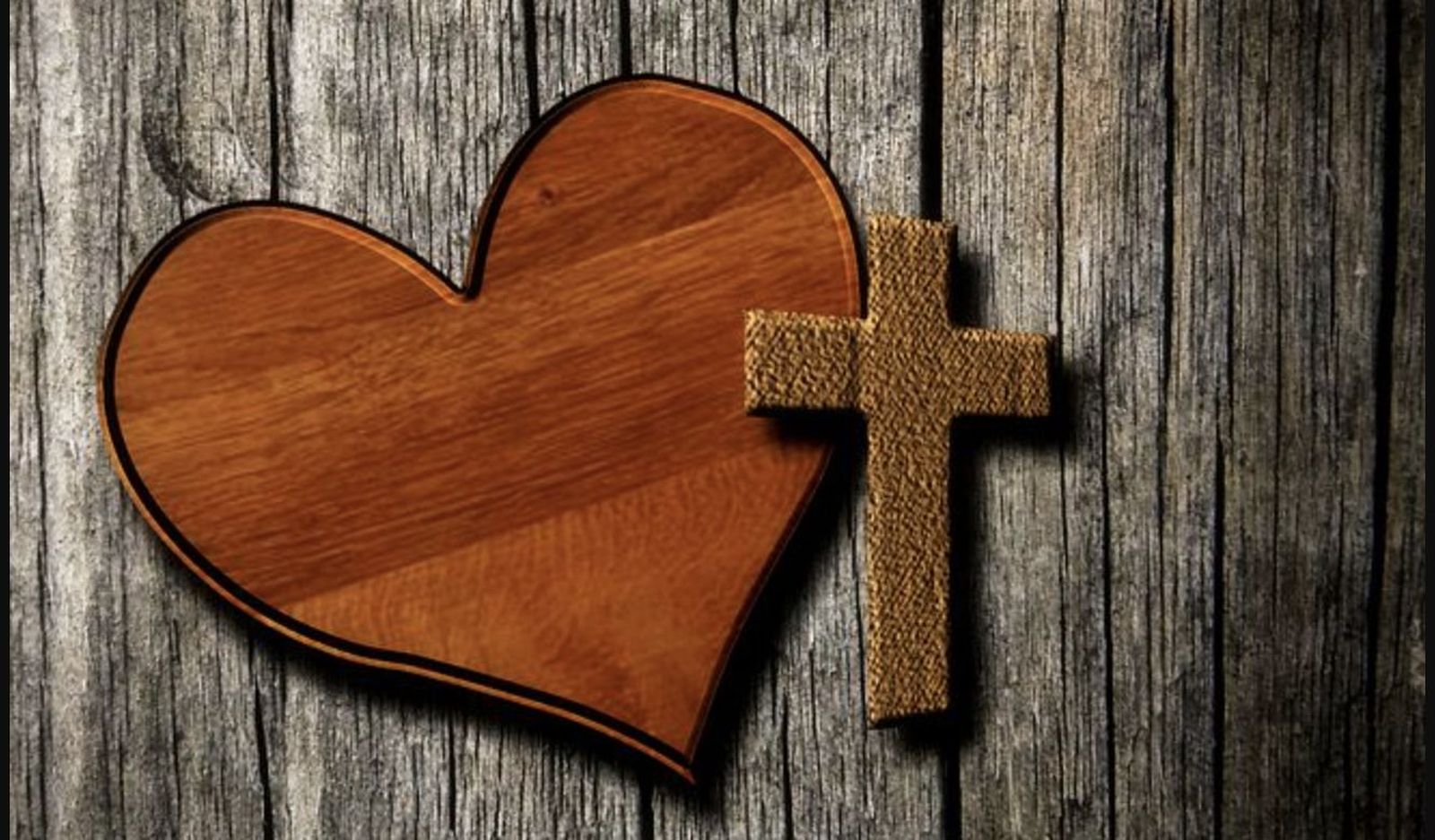 Lógica de la gratuidad