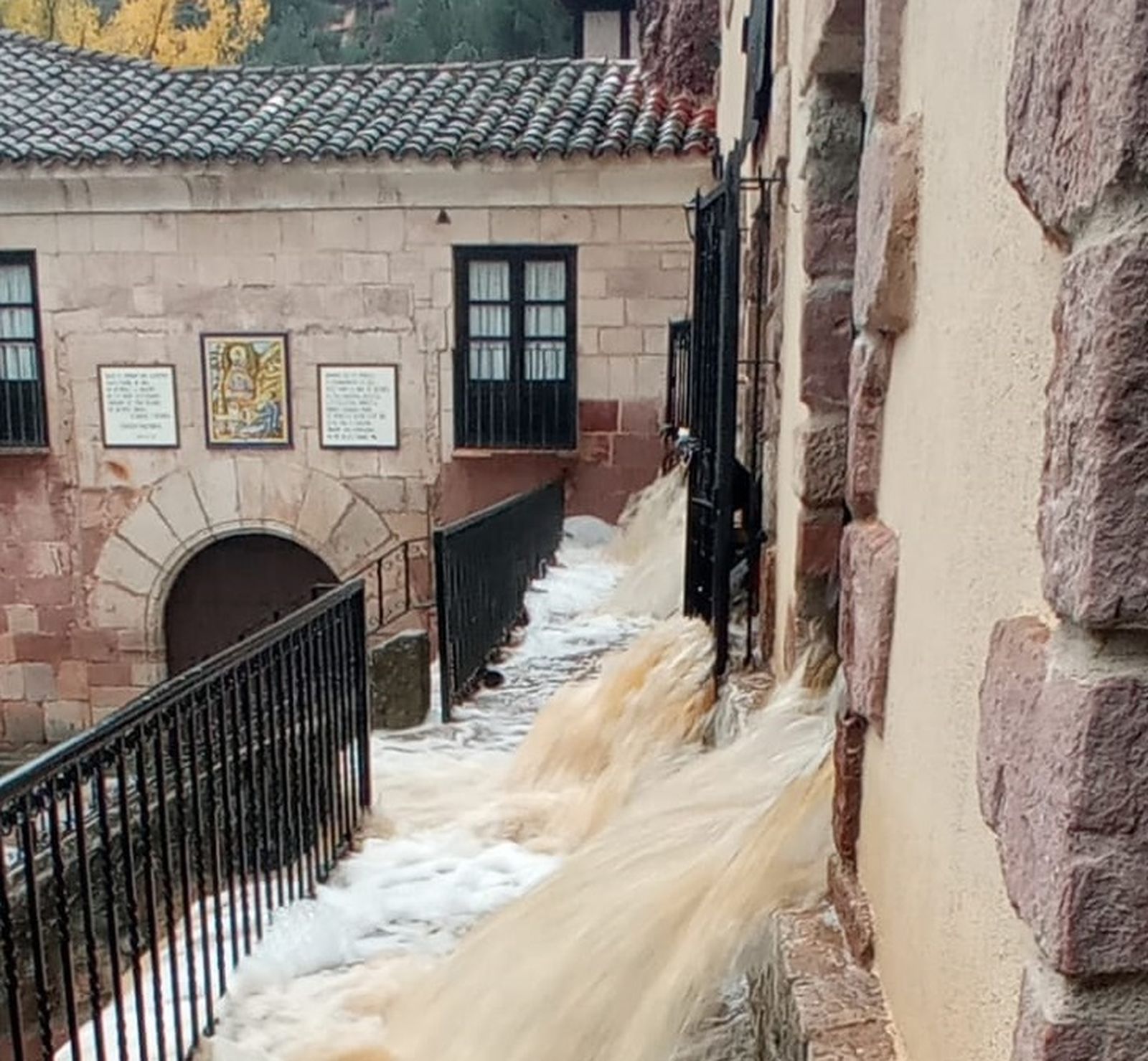 10 de noviembre: XXXII Domingo TO