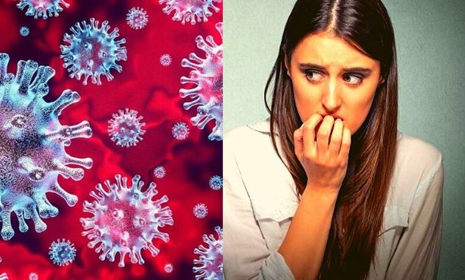 Humanizar la reacción frente al miedo