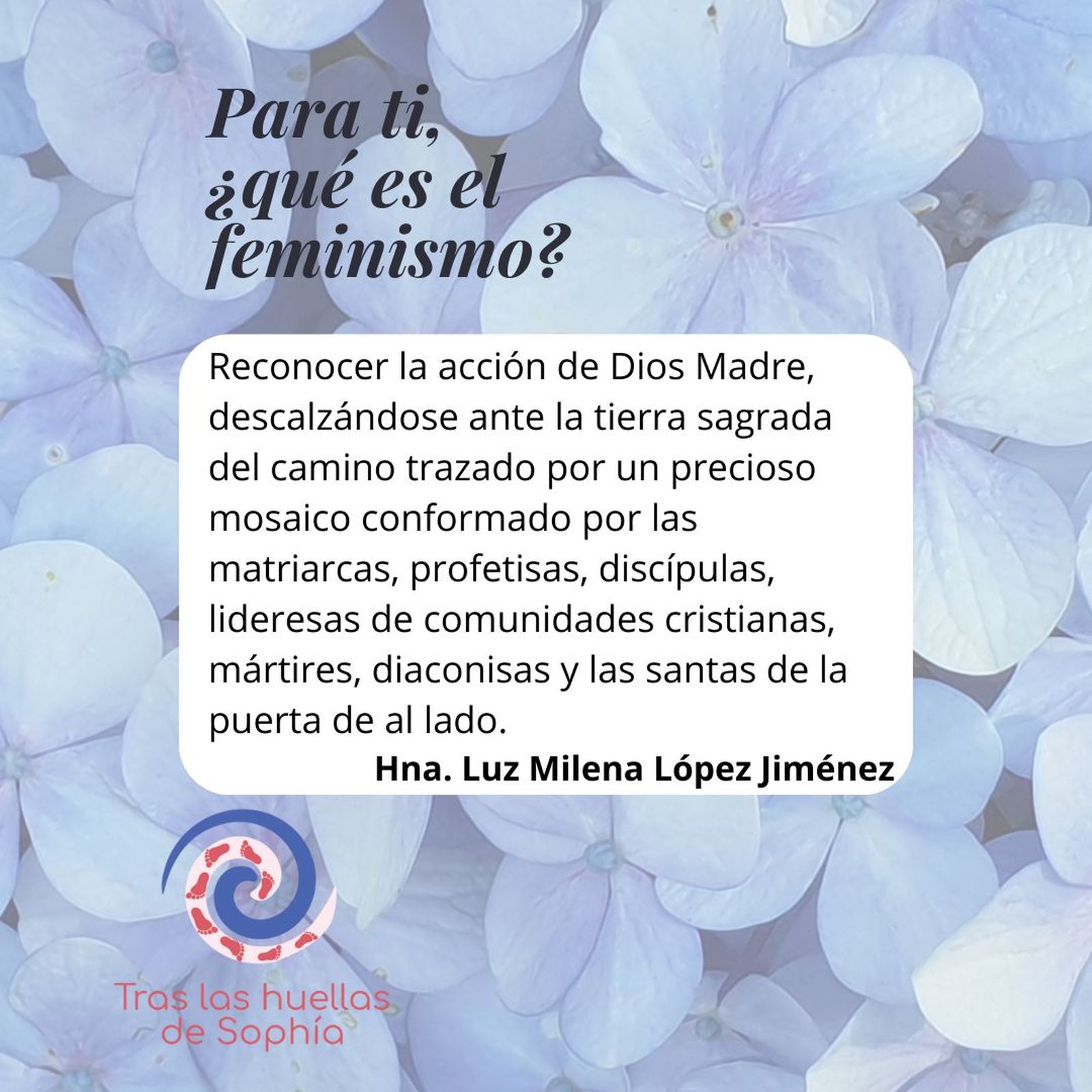 Tejer en el vientre materno una tienda amplia y fecunda donde caben todas y todos