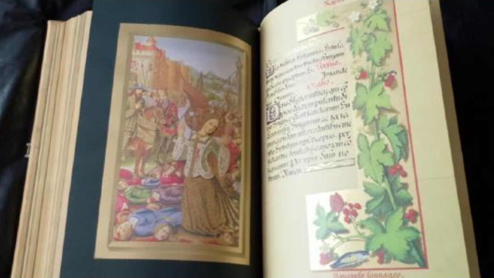 Libro de Horas de Ana María de Bretaña