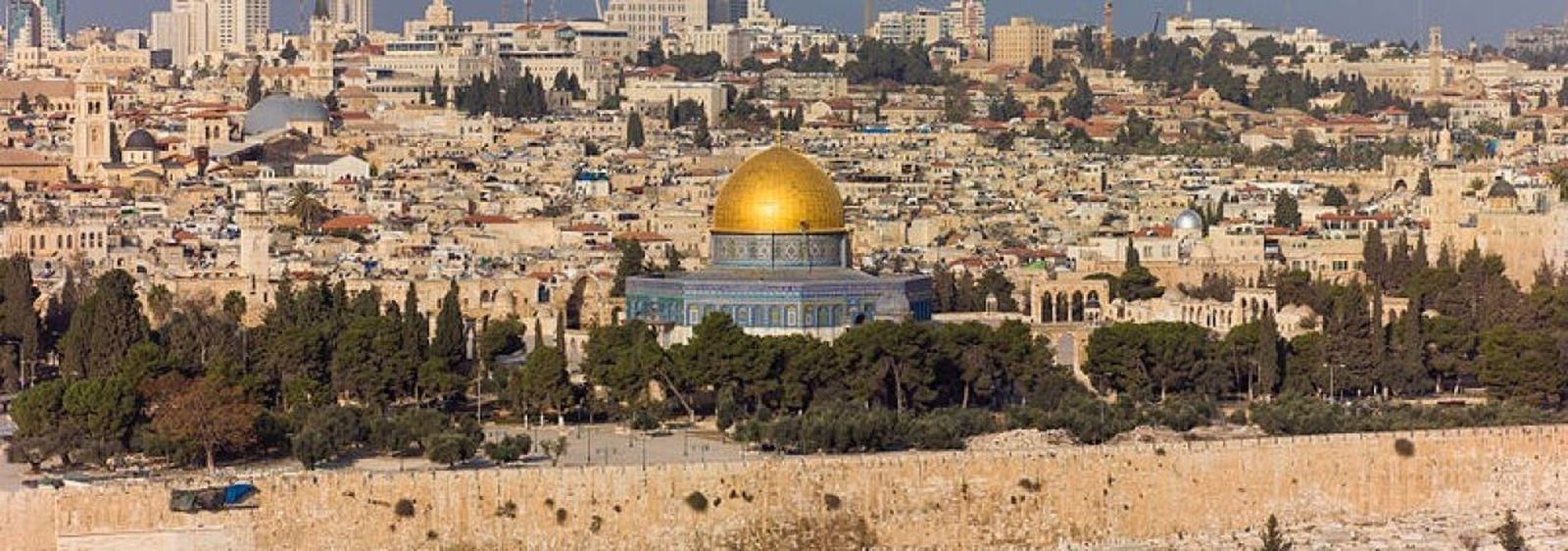 Un libro cautivador sobre Tierra Santa
