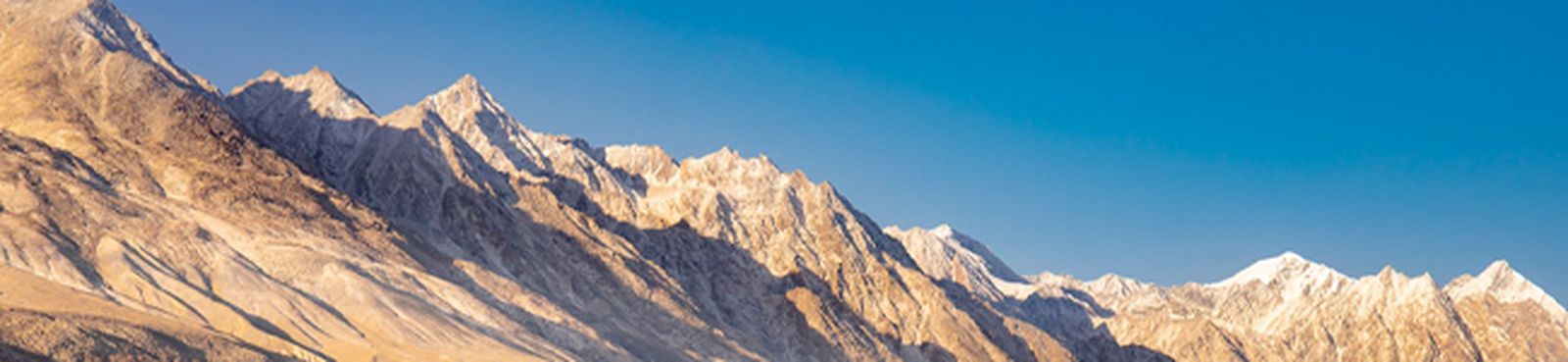 bach-vaughan-williams-coral-bwv649