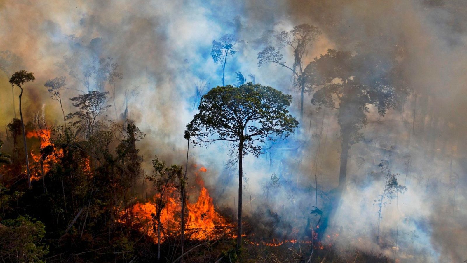 Incendios en Brasil