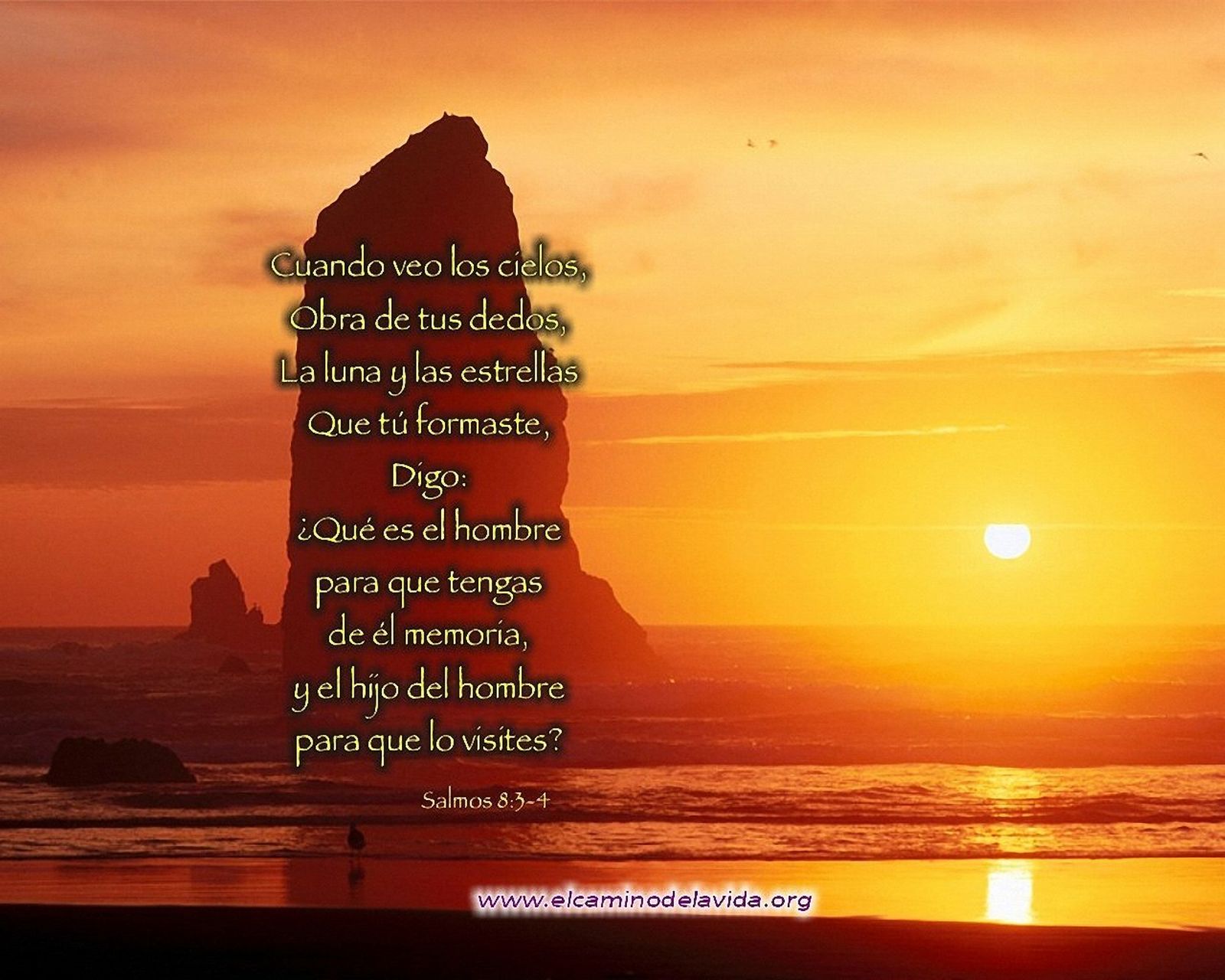 Los Salmos hoy