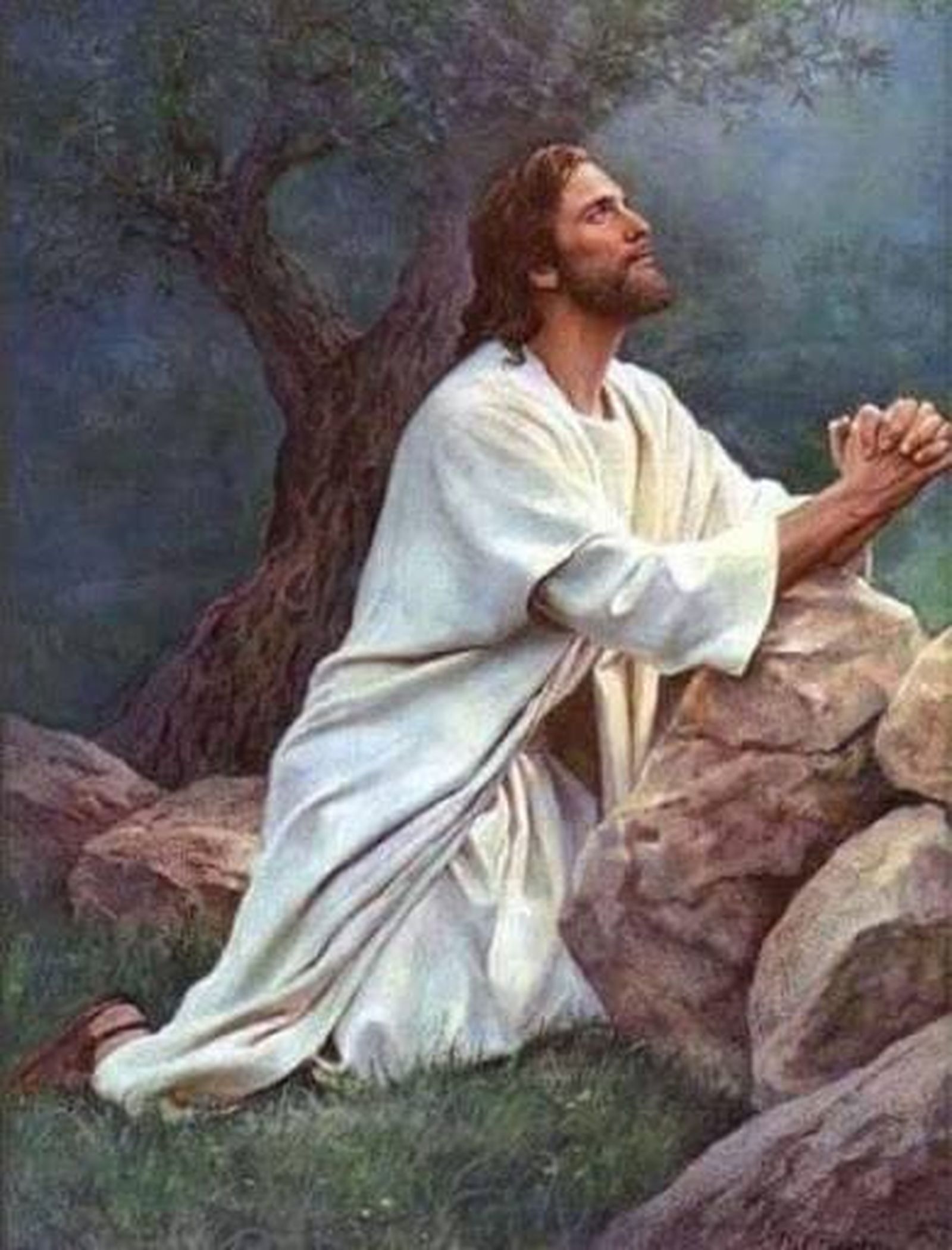 Jesús se retira a orar