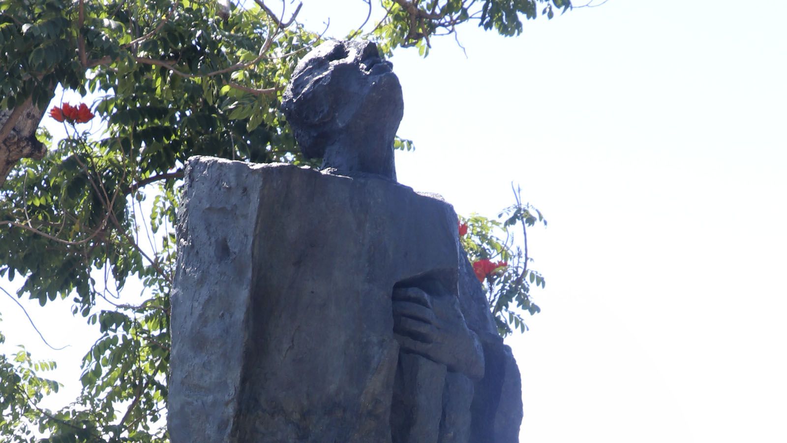 Fray Bartolomé de las Casas