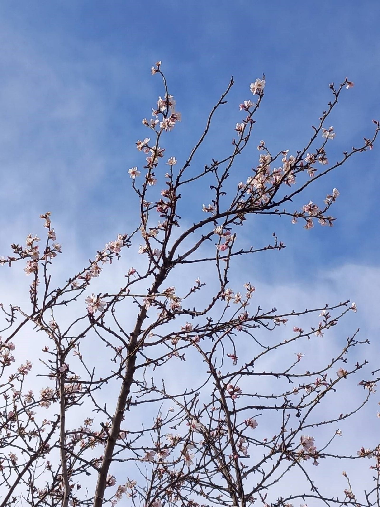 Sábado de la Octava de Pascua