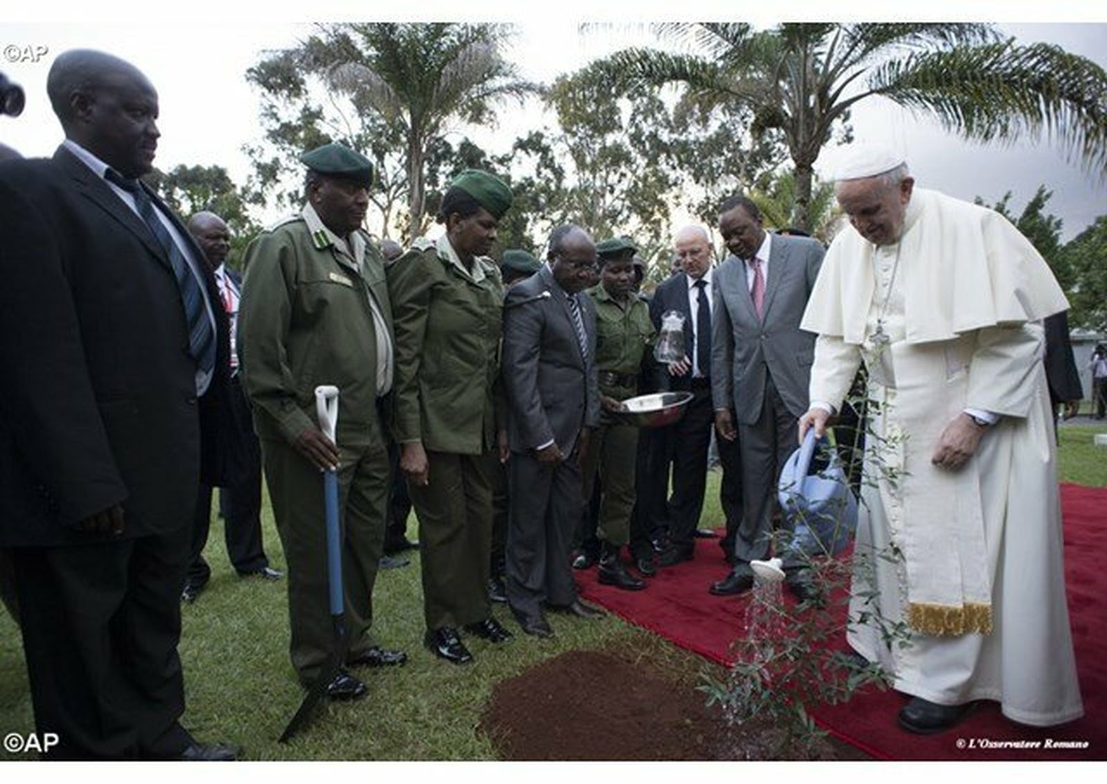 El Papa plantó un árbol