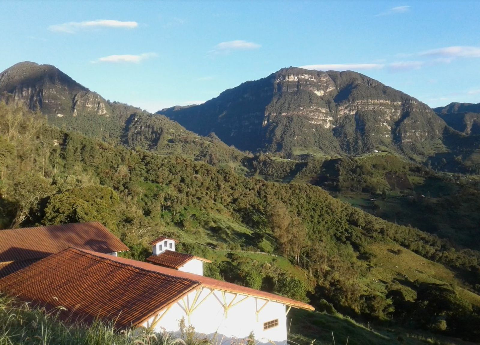 Contemplación de la Creación