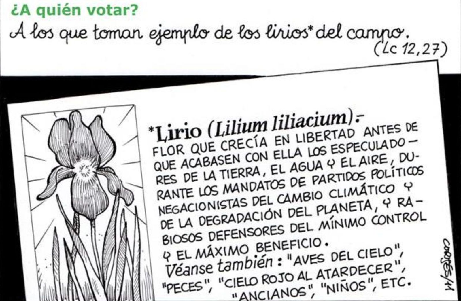 ¿A quién votar?