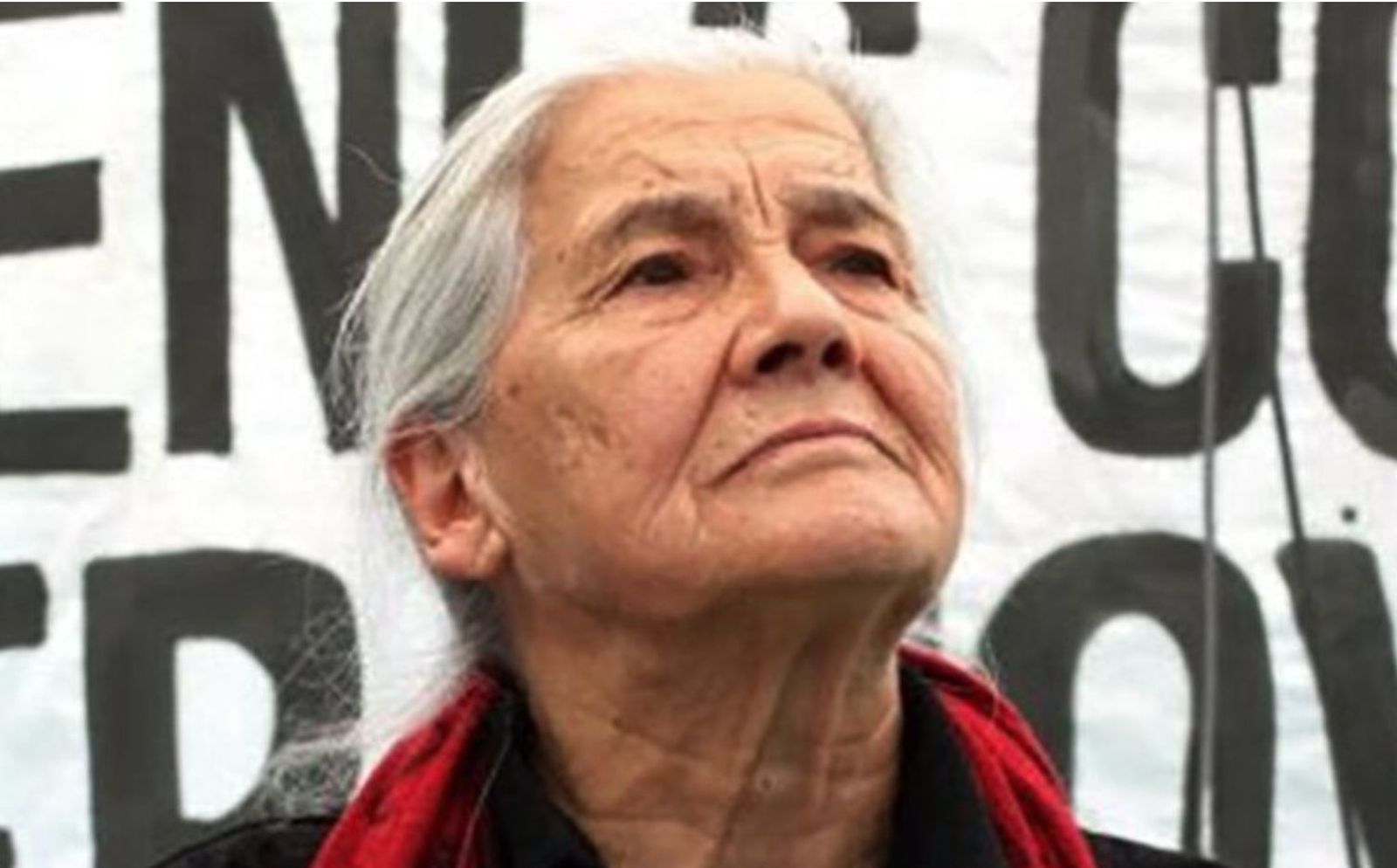 Luisa Toledo Sepúlveda