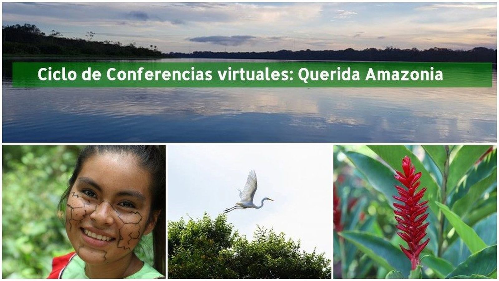Ciclo de conferencia virtuales Querida Amazonia