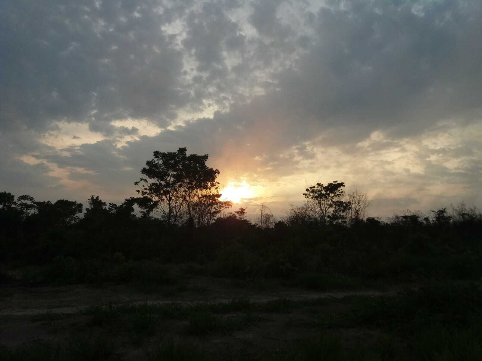 Atardecer en Amazonia