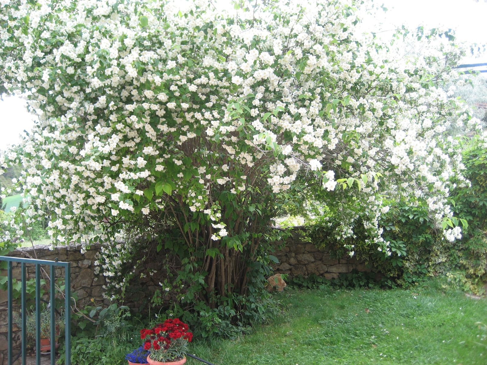 04 Año de oración: Dejarse mirar