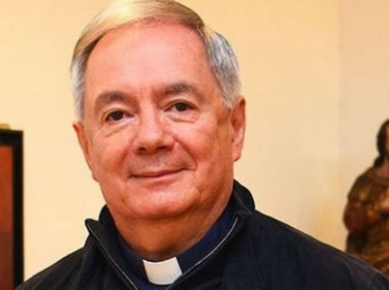 "La tarea del sacerdote está lastimada"