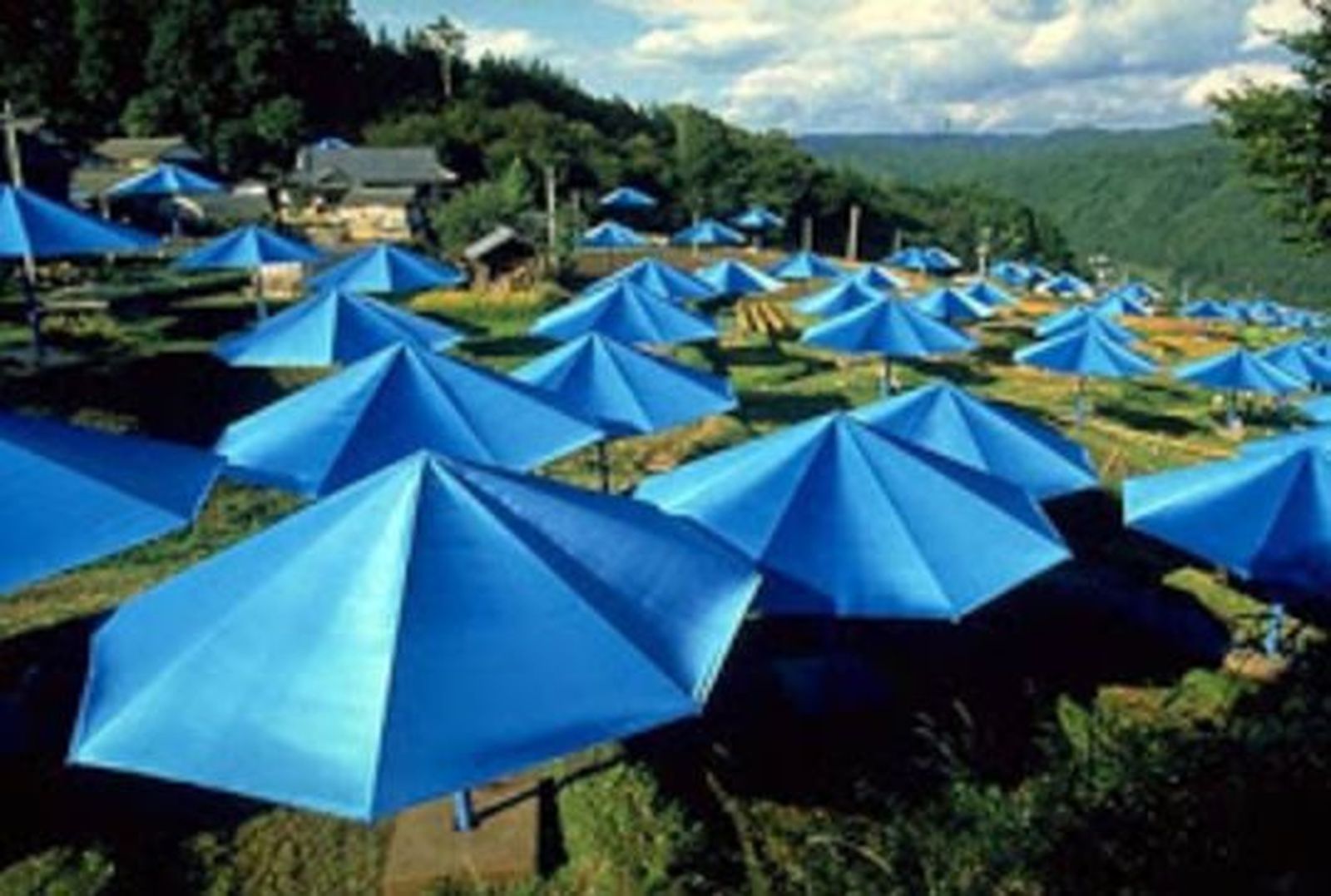 'Sombrillas' en el arrozal. Christo.