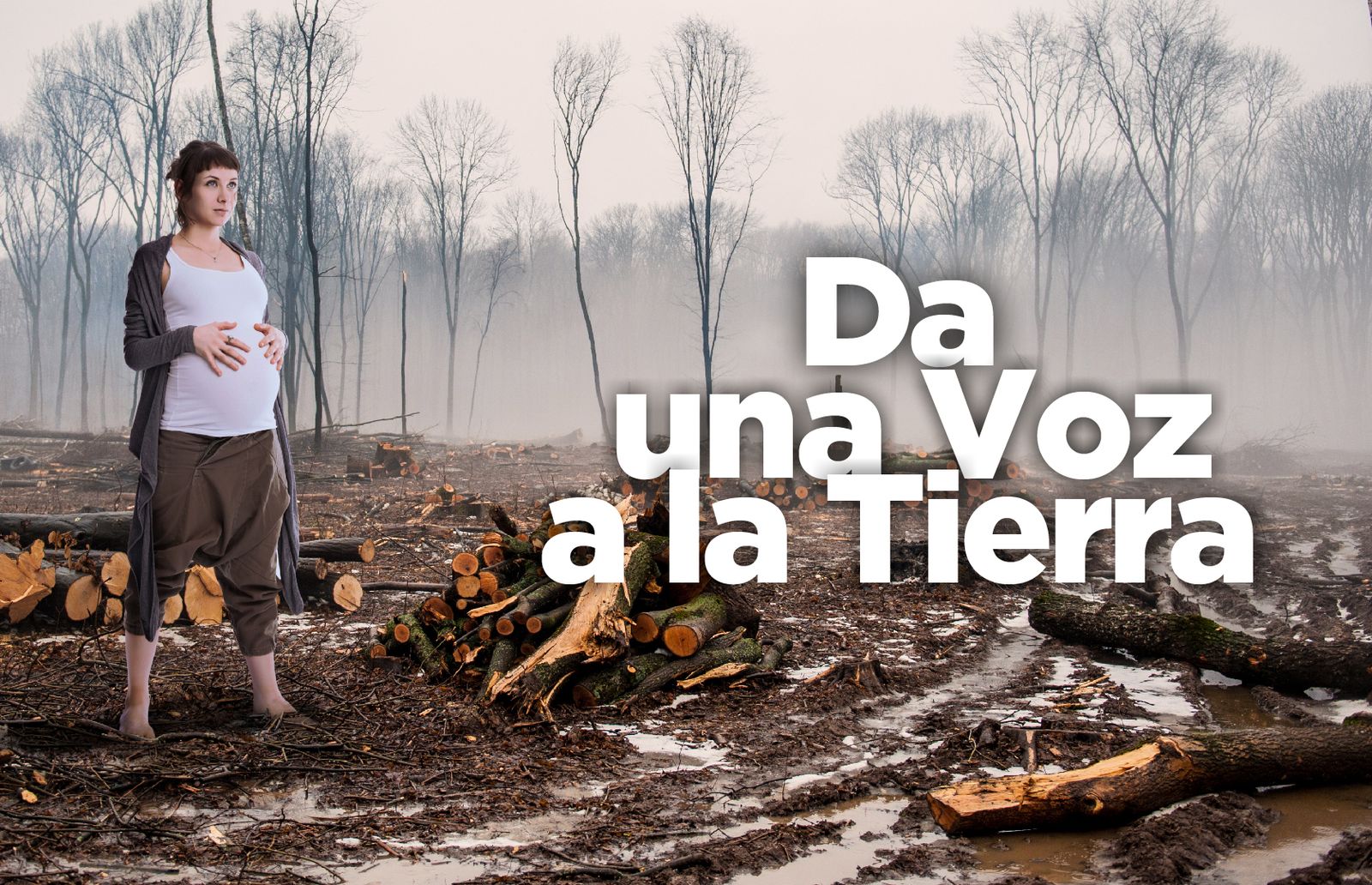 Movimiento Laudato Si'