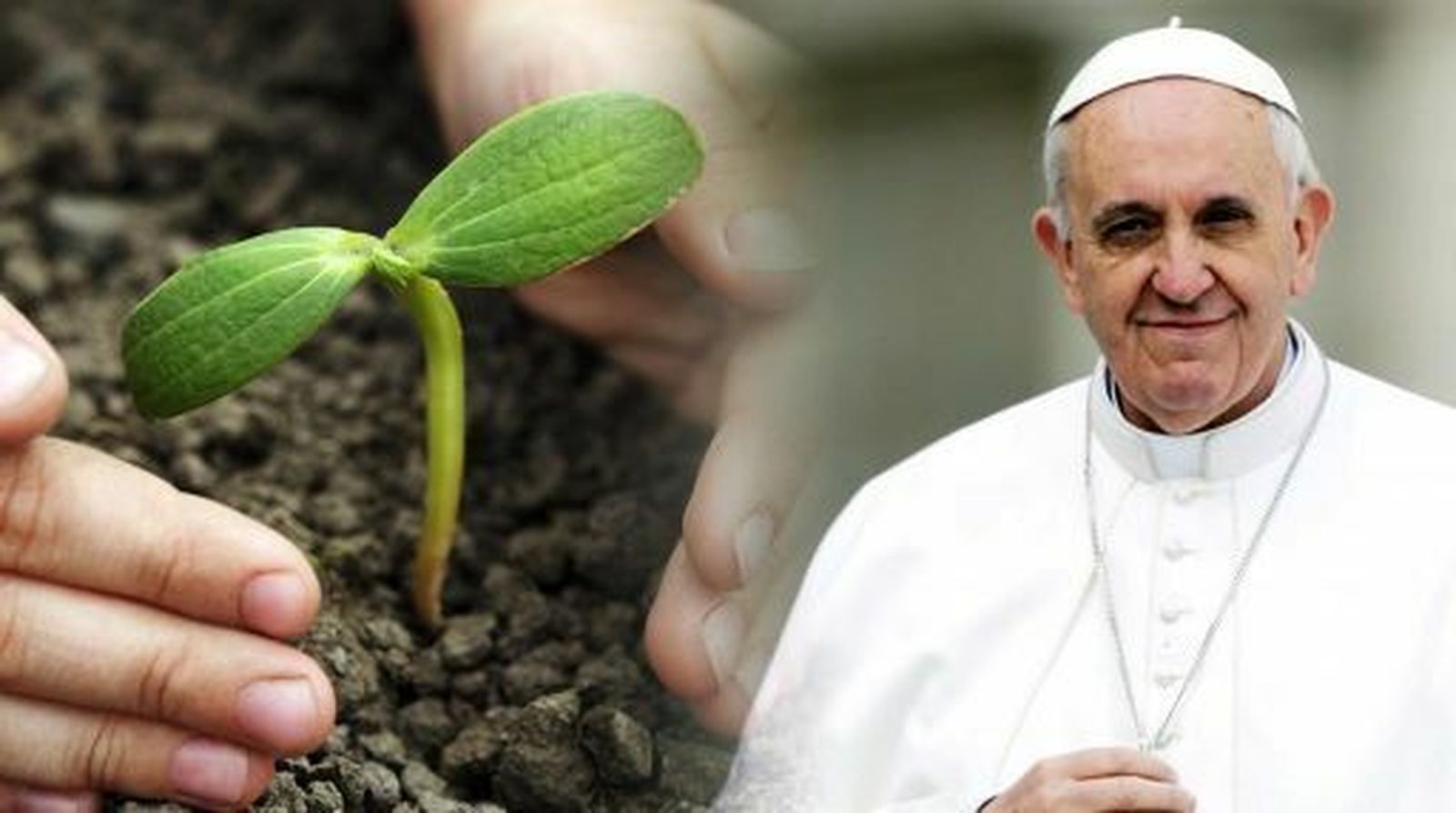 El Papa y el medio ambiente