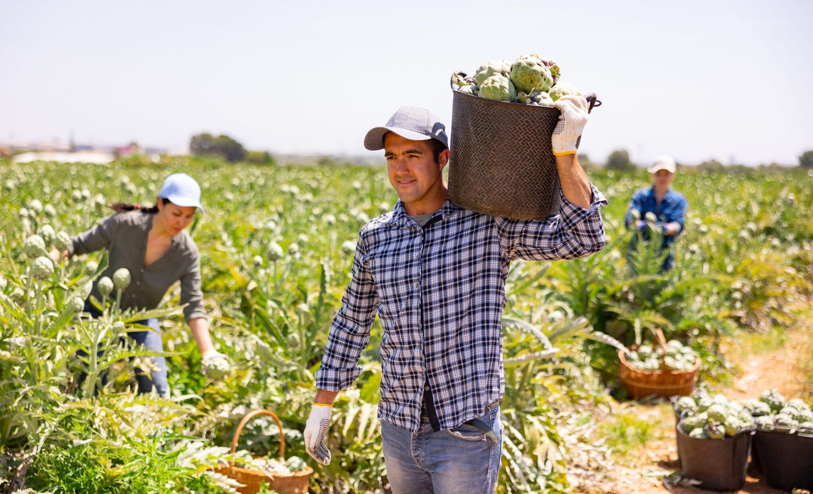 San Isidro y los agricultores