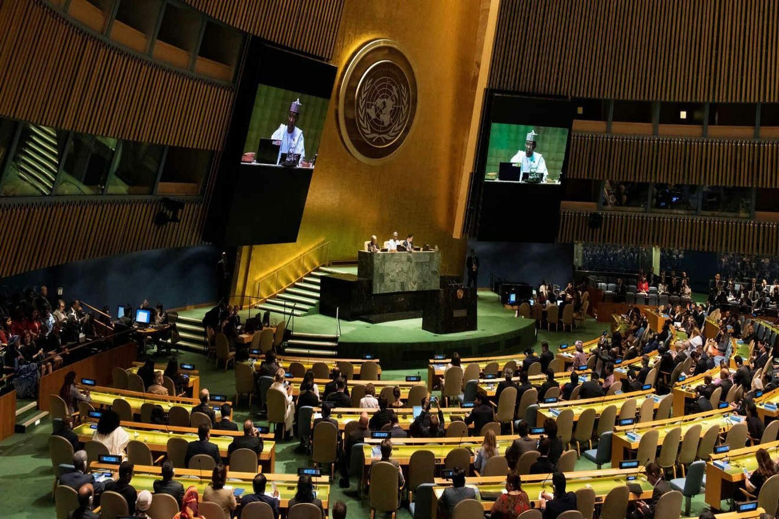 Asamblea-General de la ONU