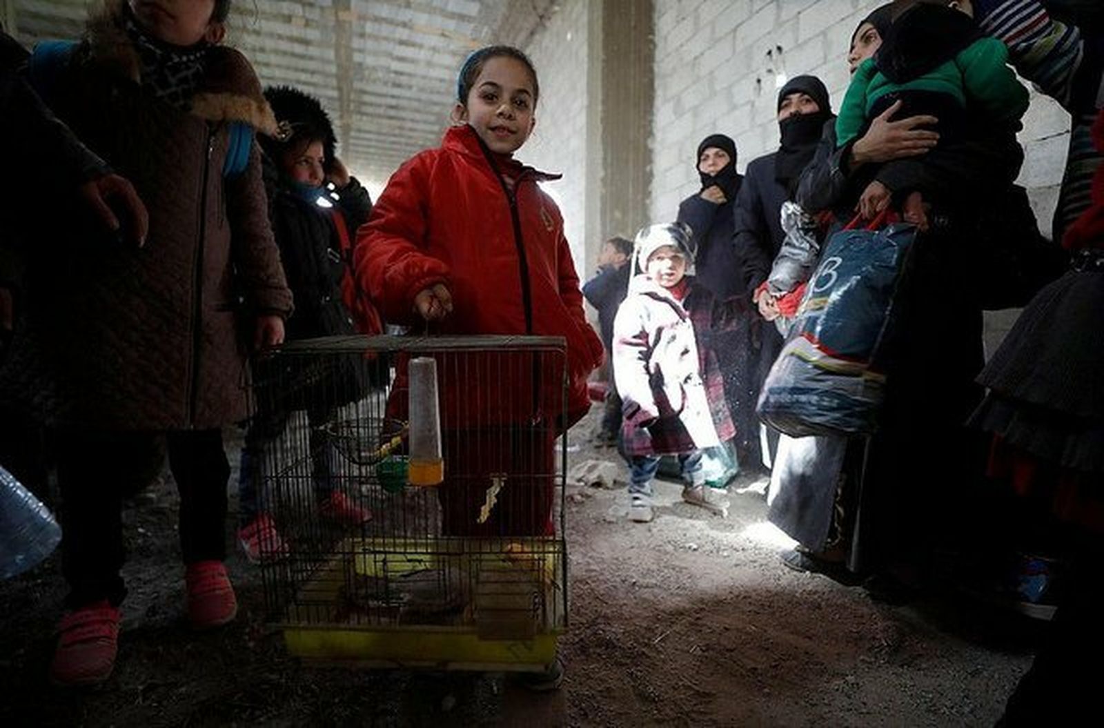 Una niña siria, con su pajarito