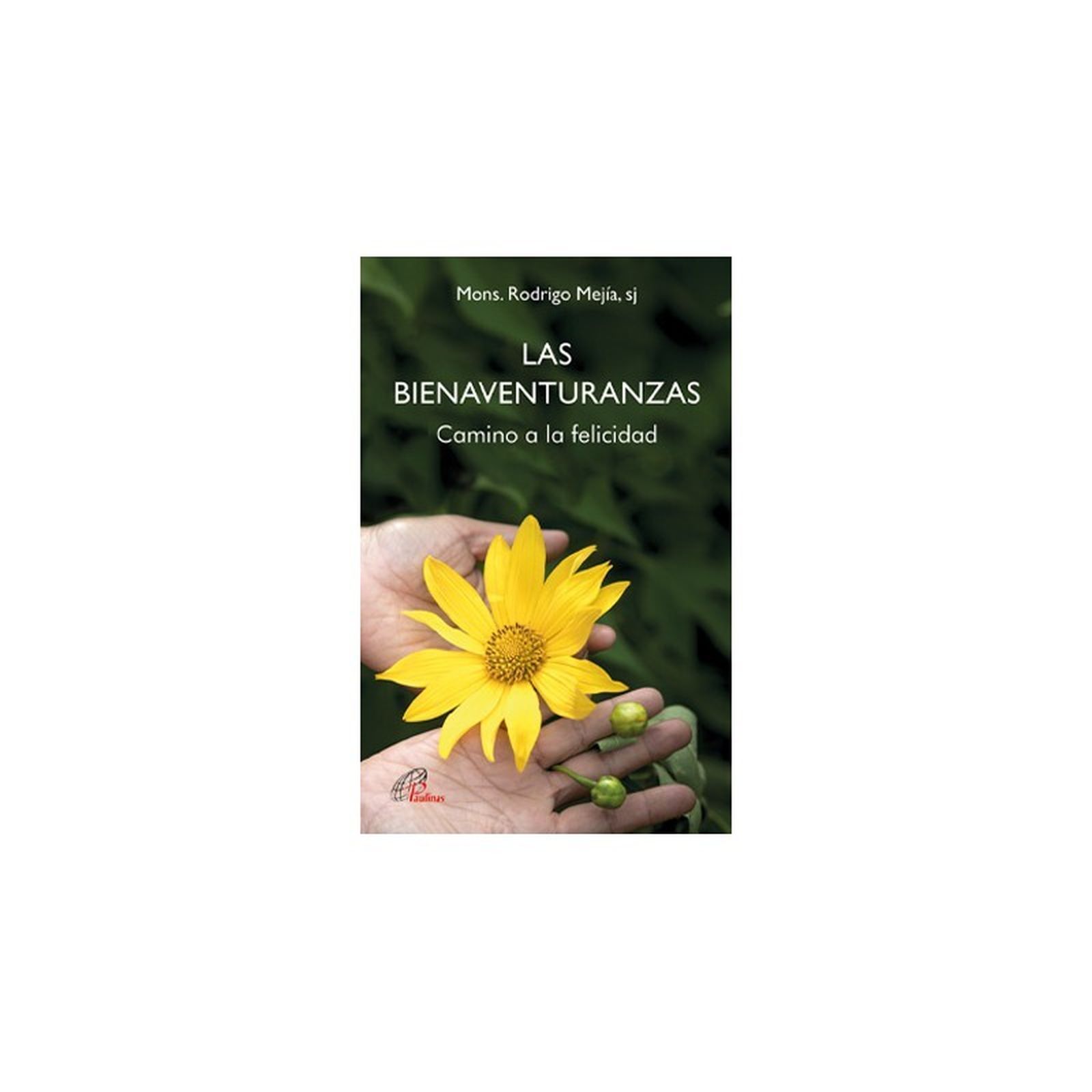 Las Bienaventuranzas: camino a la felicidad