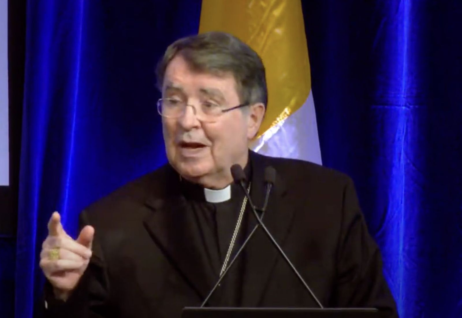 Christophe Pierre durante su discurso a los obispos estadounidenses