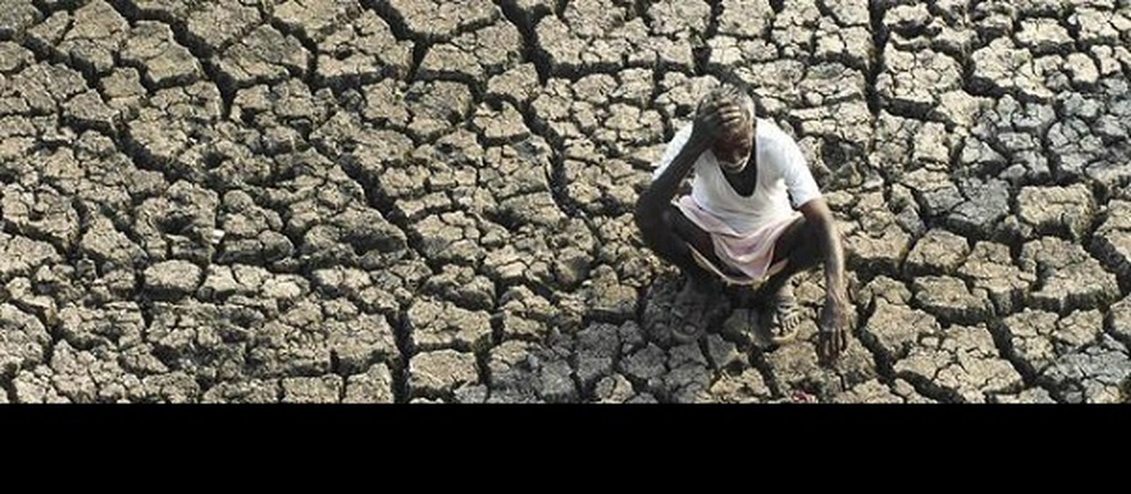 Laudato Deum. El grito profético transformado en apocalíptico