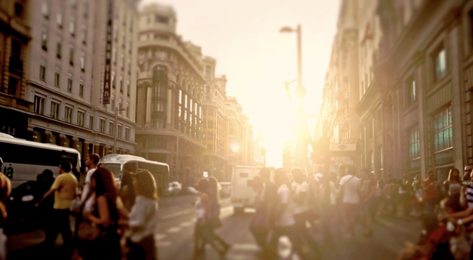 Día de la Iglesia Diocesana 2025