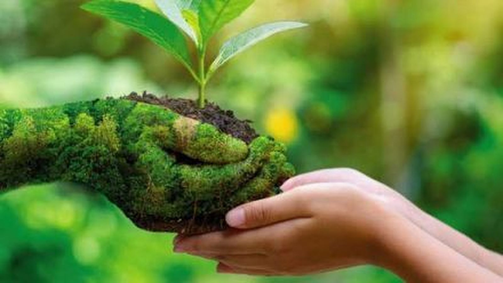 Una ecología integral