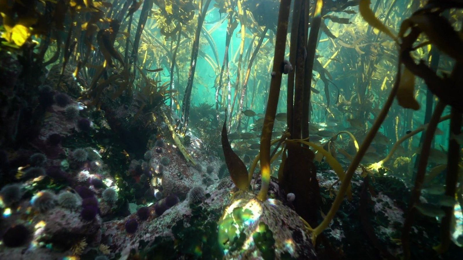 III Jornada Europea de reflexión sobre la Laudato Si'