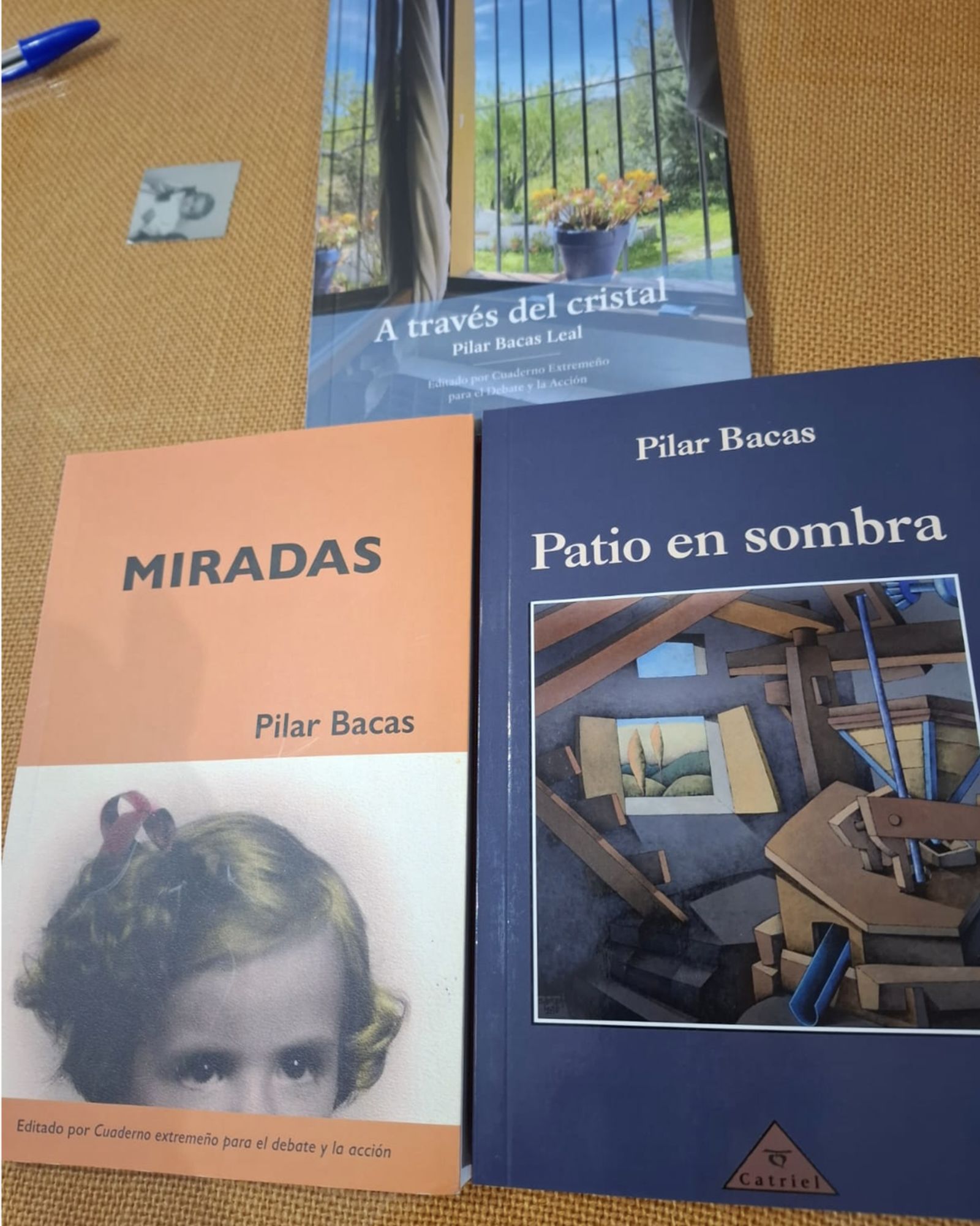 Algunos de los libros de Pilar Bacas