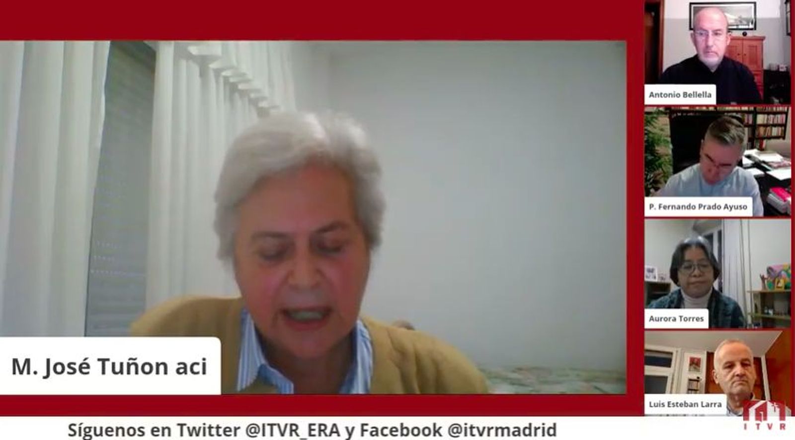 Un momento del webinar