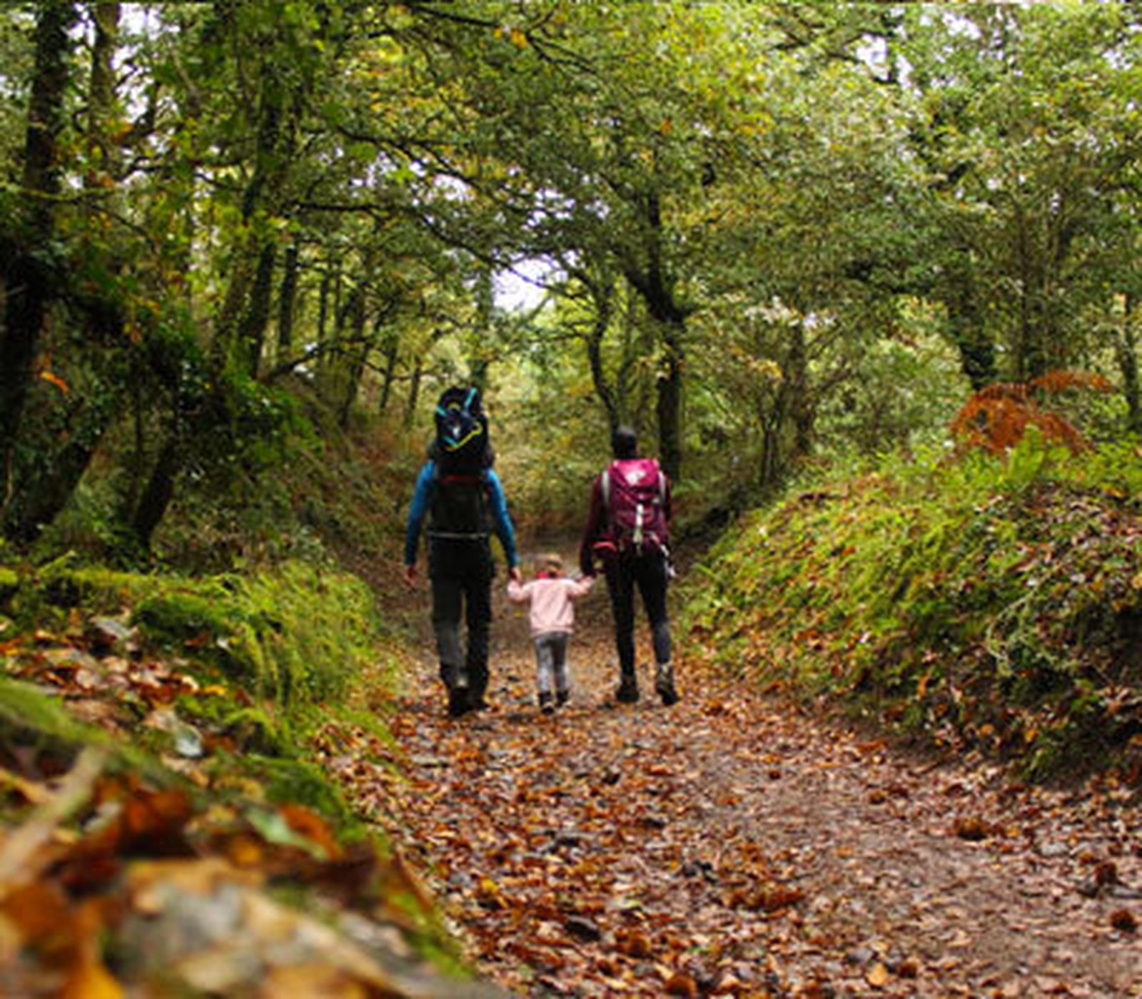 Padre y Madre nuestra del Camino