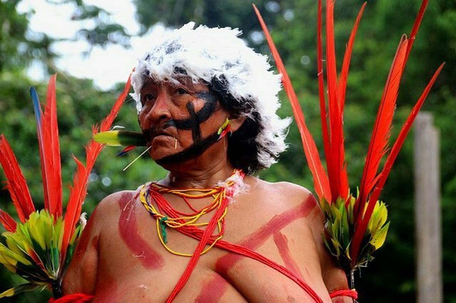 Mujer yanomami