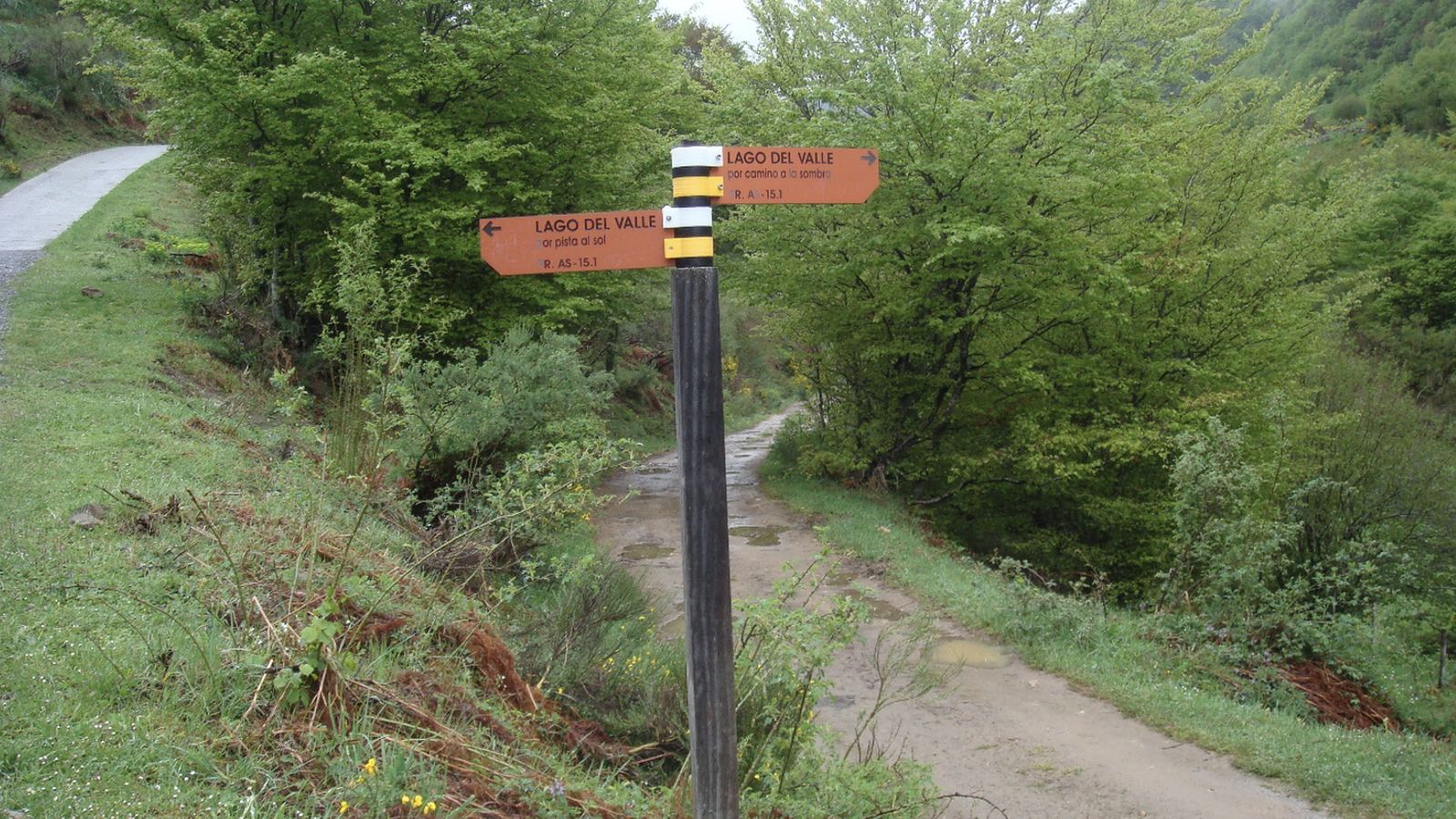 Captura de pantalla 2026-04-01 a la(s) 12.18.22 p.m.