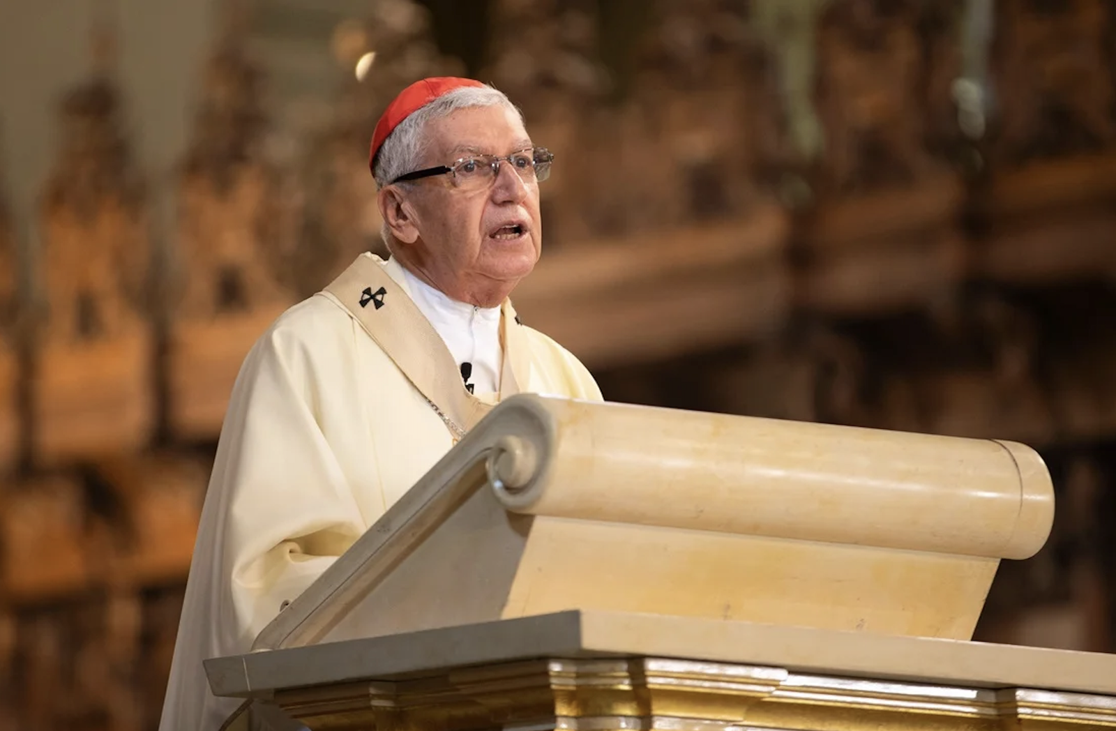 El cardenal Castillo