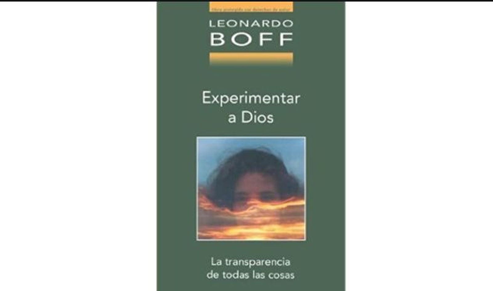 Libro de L. Boff