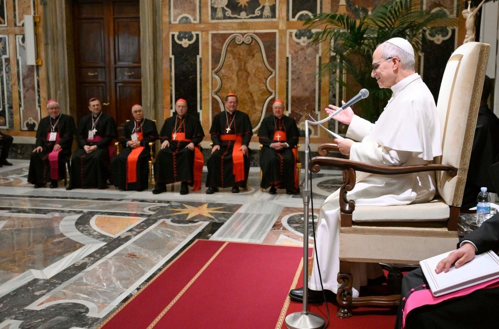 El Papa, en la audiencia