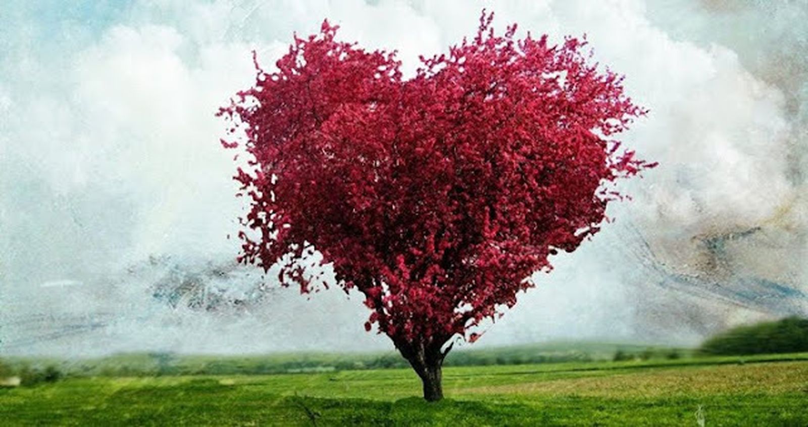 La sacramentalidad del amor